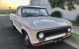 C-10 1978